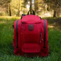 The Lore 2.0 bag Cherry